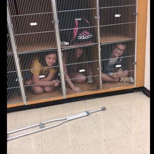 Meet your Posher, Abby